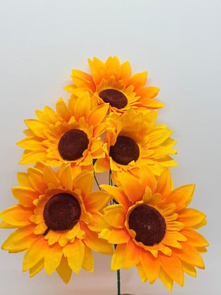 Girasol Grande x 5