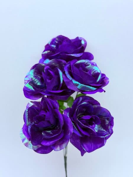 Rosa Tornasol con 5 Flores