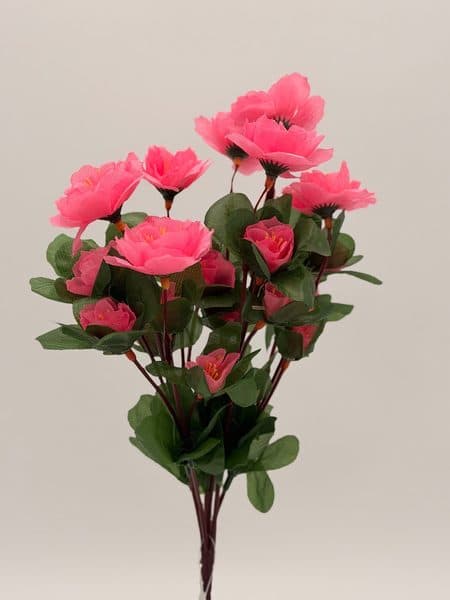 Azalea Mini