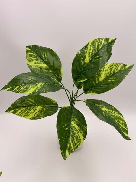 Planta Julieta