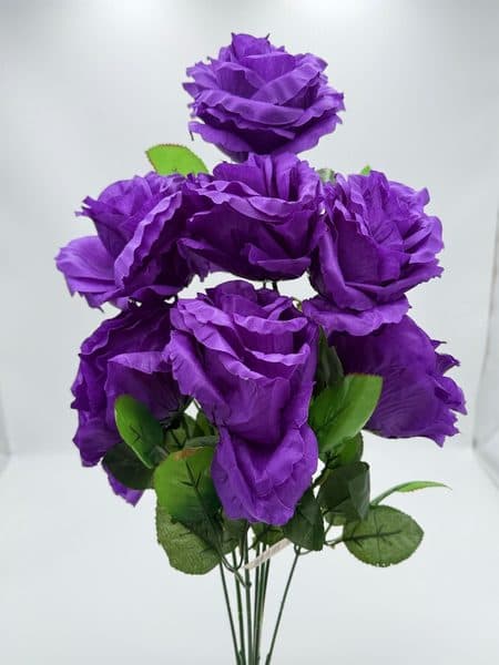 Rosa Jumbo x 7