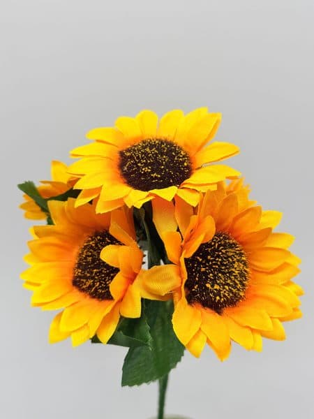 Girasol Chico 27CM Altura