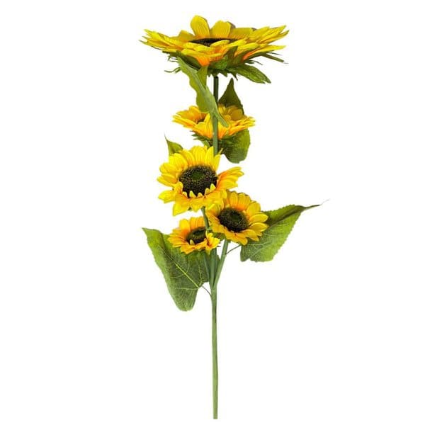 Vara Girasol x 5