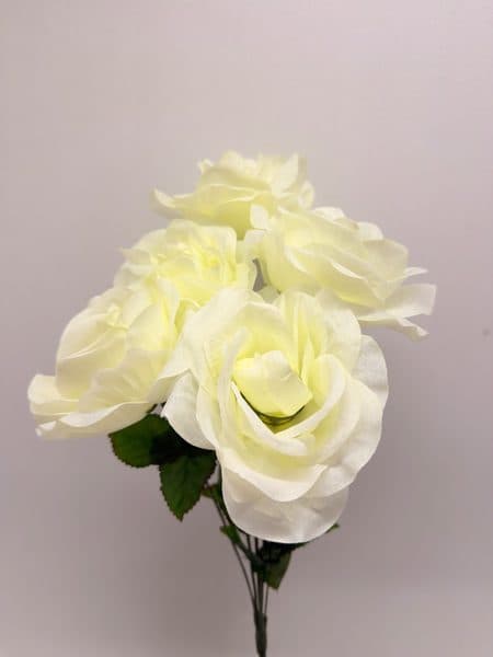 Rosa Grande x 5