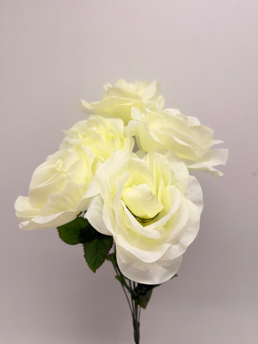 Rosa Grande x 5