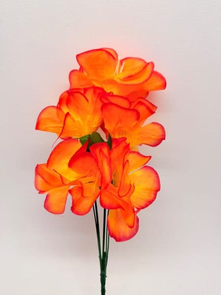 Ramo de Azalea x 5